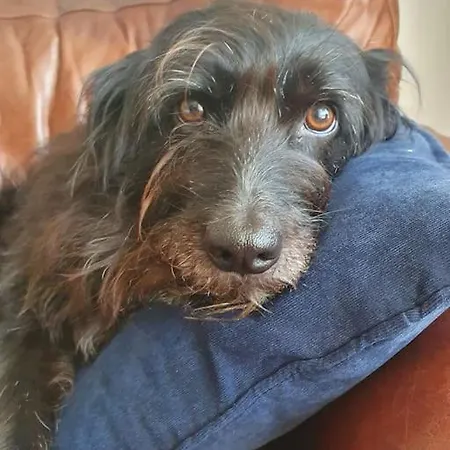 Sandstone Marske-by-the-Sea