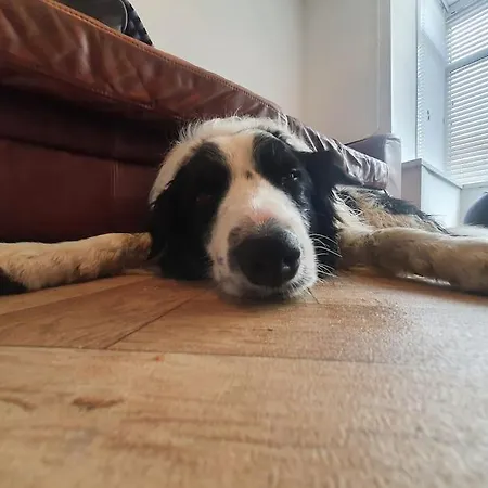 Sandstone Casa de Férias