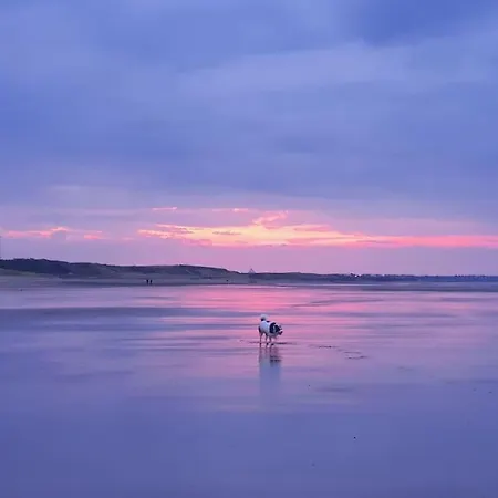 Sandstone Marske-by-the-Sea