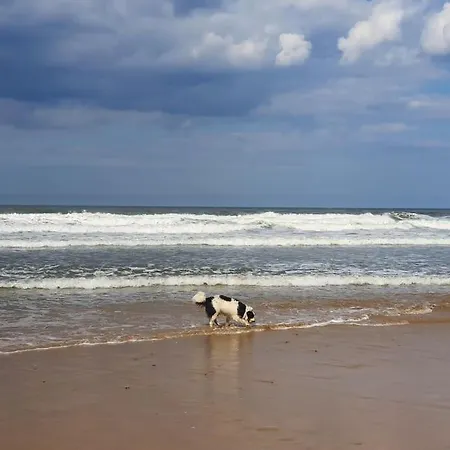 Sandstone 펜션 Marske-by-the-Sea